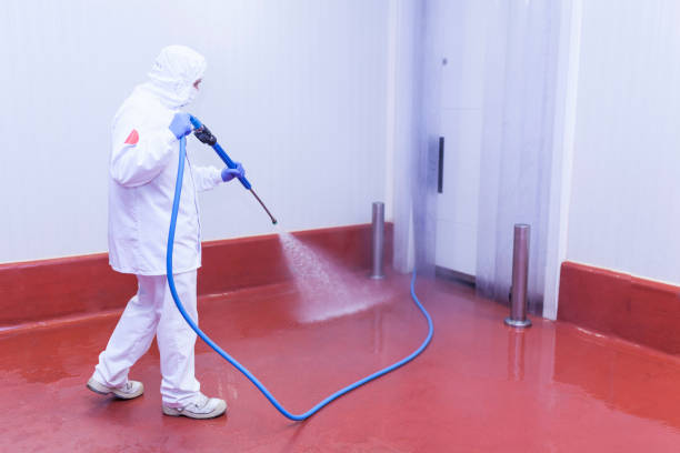 Best Patio and Deck Pressure Washing  in Maumelle, AR